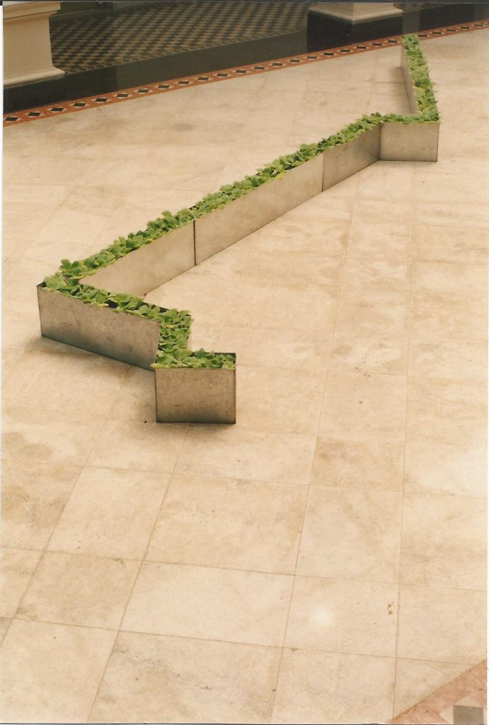 Adaptación del jardín al fenómeno del niño. Hojalata, agua, platas acuáticas. Centro Cultural del Brasil. 1998